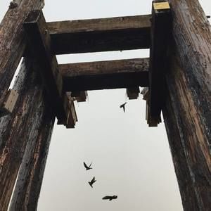 Meet your Posher, Dani.ryan